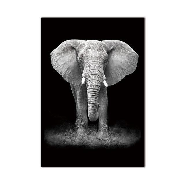 African Animals Canvas Prints - Stylish Wall Art (Unframed) - wallandroom.com