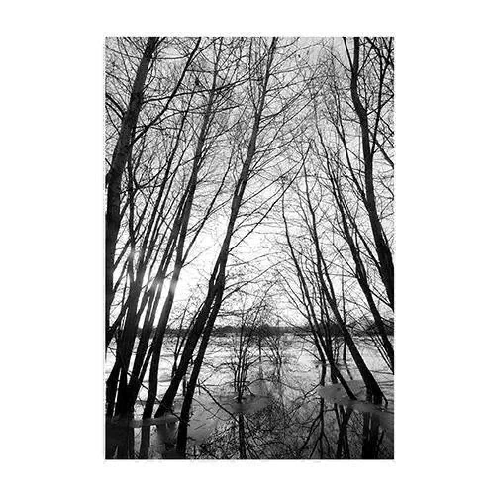 Forest And Deer Prints - Nature Wall Art (Unframed) - wallandroom.com
