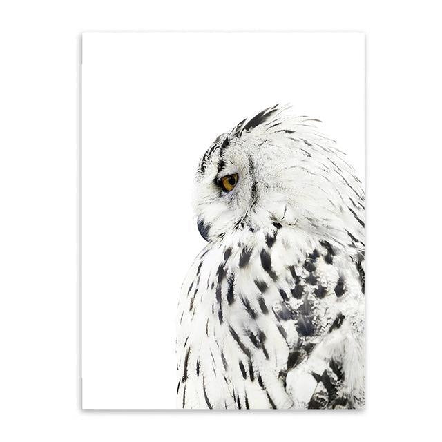 Owl Feather Canvas Poster - Modern Wall Art (Unframed) - wallandroom.com