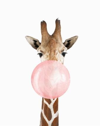 Paint By Numbers Kit - Bubble Gum Animals DIY Wall Art Giraffe / With DIY Frame Kit www.wallandroom.com