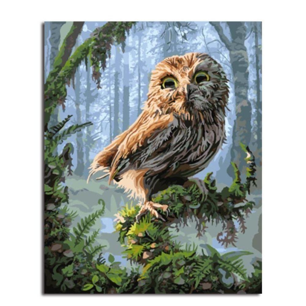Paint By Numbers Kit - OWL DIY Wall Art - wallandroom.com