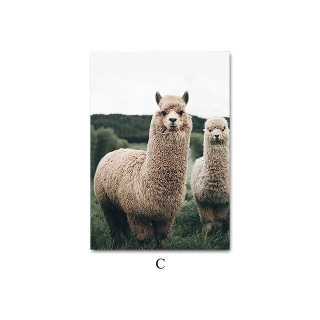 Alpaca Llama Sheep Animal Poster Nordic Style Canvas Print Landscape Art Painting Wall Picture for Modern Living Room Decoration 60x80cm No 